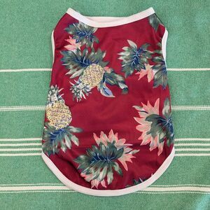 2/$10 🐾 New Size Medium Vibrant Pineapple Dog Shirt - Cat Shirt 🐾